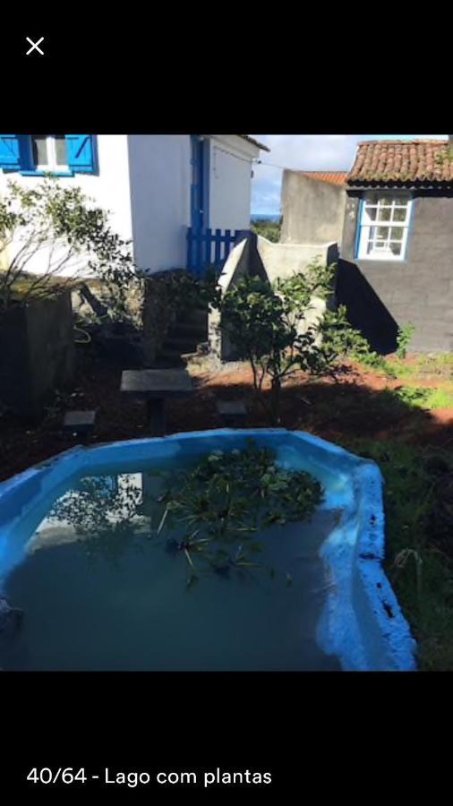 Adega Guest House Horta  Exterior foto